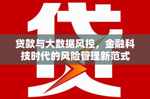 阳东贷款与大数据风控，金融科技时代的风险管理新范式