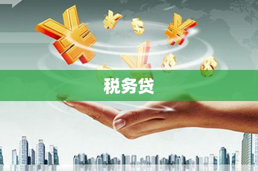 阳东税务贷