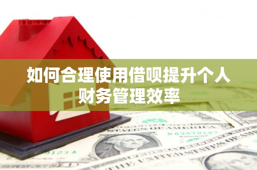 阳东如何合理使用借呗提升个人财务管理效率