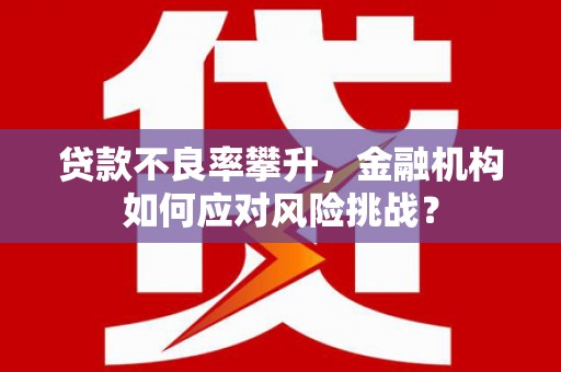 阳东贷款不良率攀升，金融机构如何应对风险挑战？