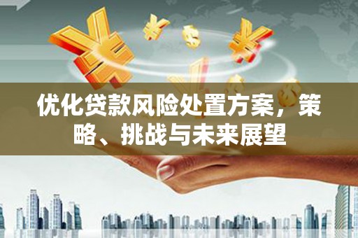阳东优化贷款风险处置方案，策略、挑战与未来展望