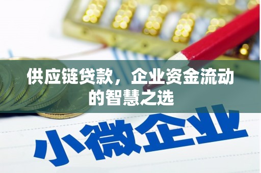 阳东供应链贷款，企业资金流动的智慧之选