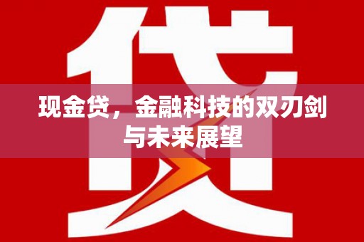 阳东现金贷，金融科技的双刃剑与未来展望