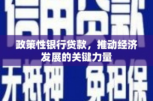 阳东政策性银行贷款，推动经济发展的关键力量