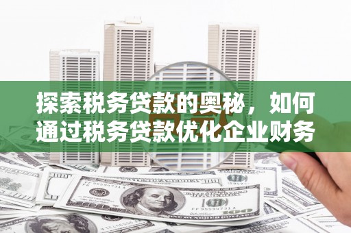 阳东探索税务贷款的奥秘，如何通过税务贷款优化企业财务