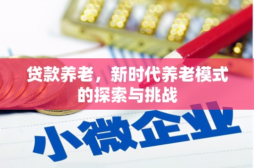 阳东贷款养老，新时代养老模式的探索与挑战