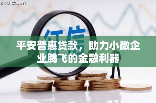 阳东平安普惠贷款，助力小微企业腾飞的金融利器