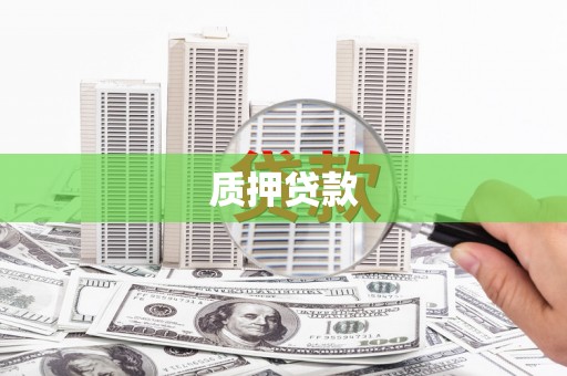 阳东质押贷款
