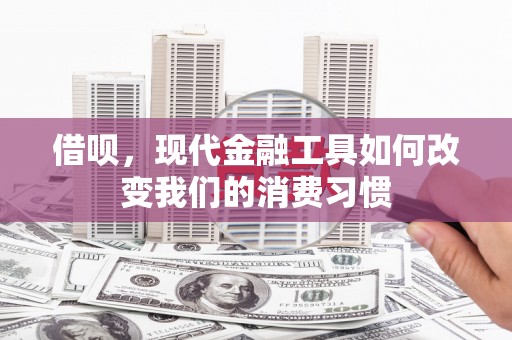 阳东借呗，现代金融工具如何改变我们的消费习惯