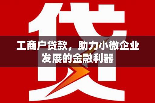 阳东工商户贷款，助力小微企业发展的金融利器