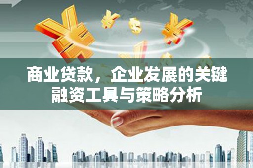 阳东商业贷款，企业发展的关键融资工具与策略分析