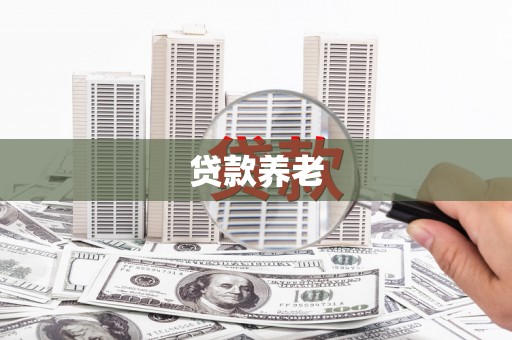 阳东贷款养老