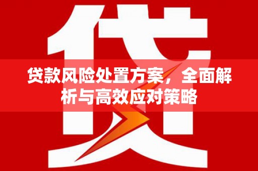 阳东贷款风险处置方案，全面解析与高效应对策略
