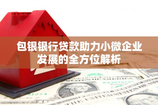 阳东包银银行贷款助力小微企业发展的全方位解析