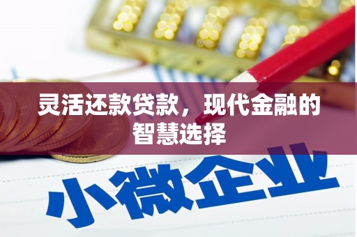阳东灵活还款贷款，现代金融的智慧选择