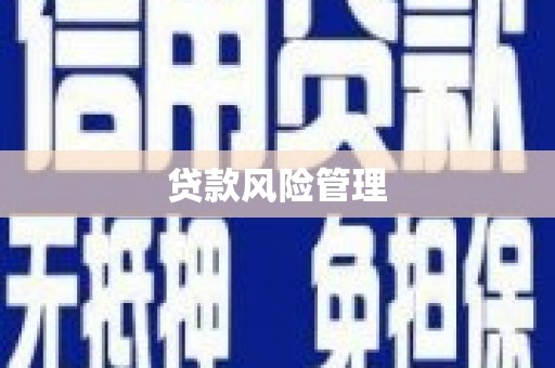 阳东贷款风险管理