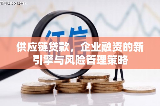 阳东供应链贷款，企业融资的新引擎与风险管理策略