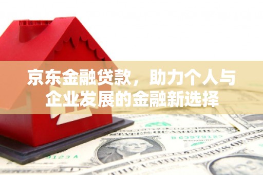 阳东京东金融贷款，助力个人与企业发展的金融新选择