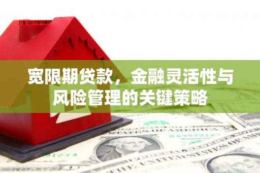 阳东宽限期贷款，金融灵活性与风险管理的关键策略