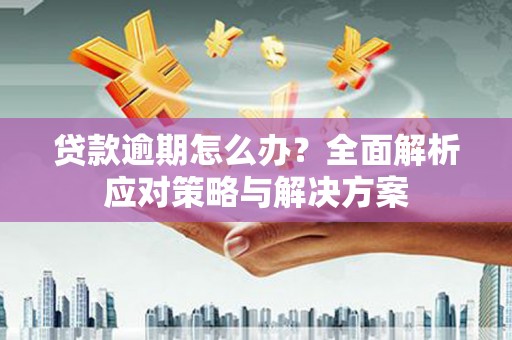 阳东贷款逾期怎么办？全面解析应对策略与解决方案