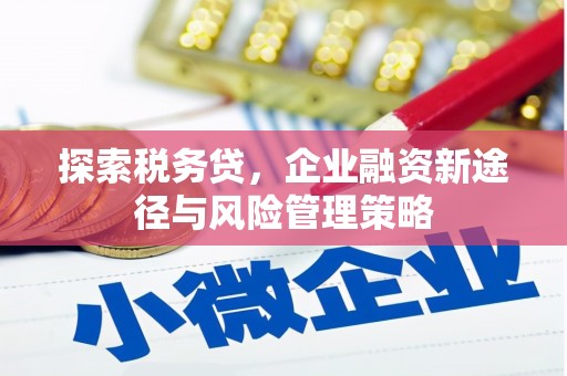 阳东探索税务贷，企业融资新途径与风险管理策略