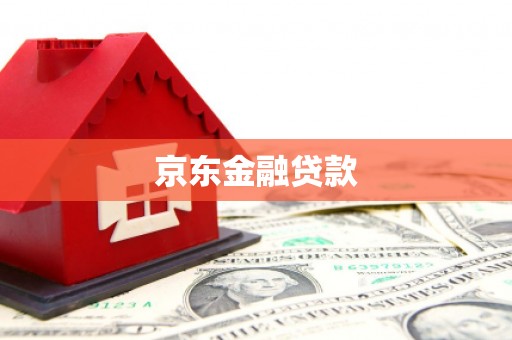 阳东京东金融贷款