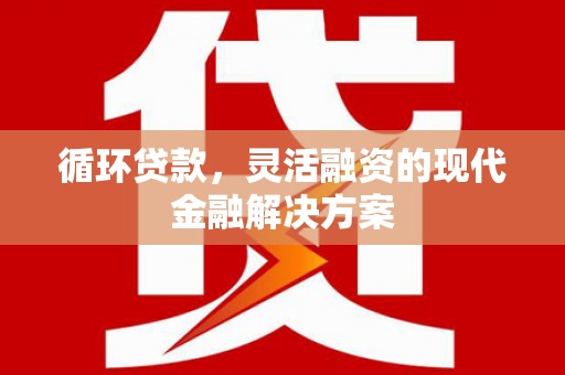 阳东循环贷款，灵活融资的现代金融解决方案