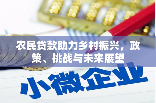 阳东农民贷款助力乡村振兴，政策、挑战与未来展望