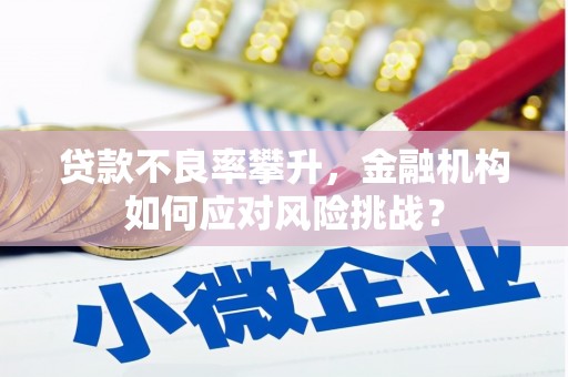 阳东贷款不良率攀升，金融机构如何应对风险挑战？