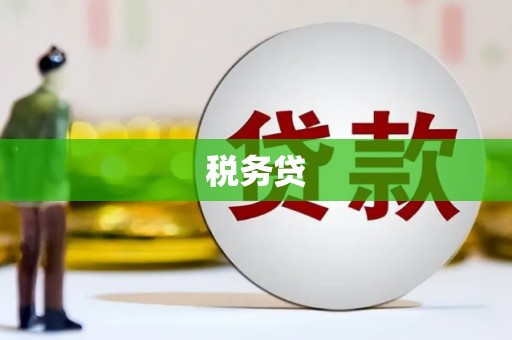 阳东税务贷