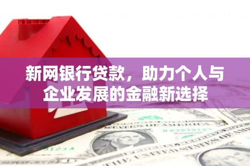 阳东新网银行贷款，助力个人与企业发展的金融新选择