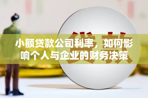 阳东小额贷款公司利率，如何影响个人与企业的财务决策