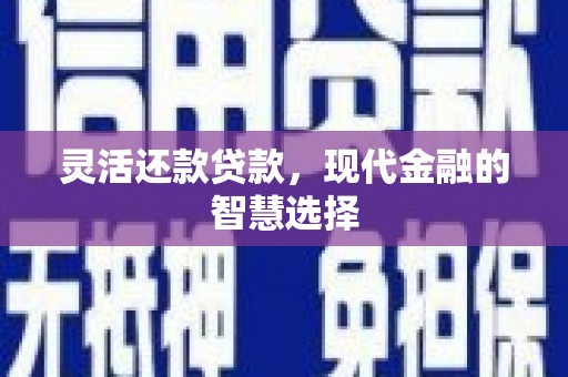 阳东灵活还款贷款，现代金融的智慧选择