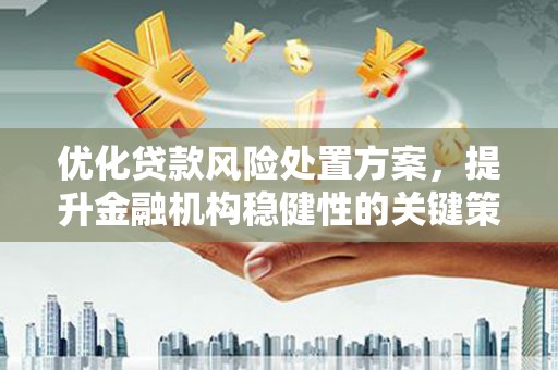 阳东优化贷款风险处置方案，提升金融机构稳健性的关键策略