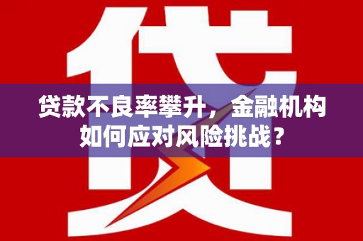 阳东贷款不良率攀升，金融机构如何应对风险挑战？