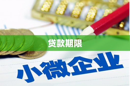 阳东贷款期限