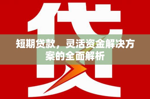 阳东短期贷款，灵活资金解决方案的全面解析
