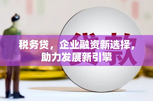 阳东税务贷，企业融资新选择，助力发展新引擎