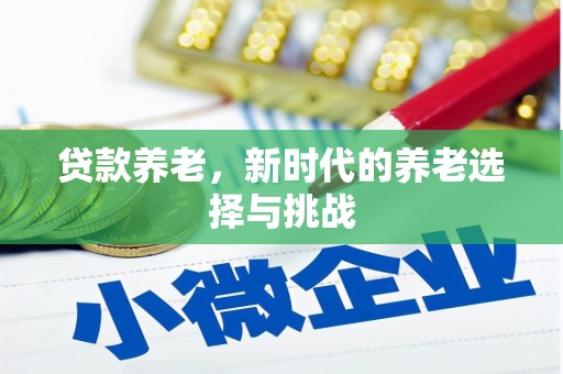 阳东贷款养老，新时代的养老选择与挑战