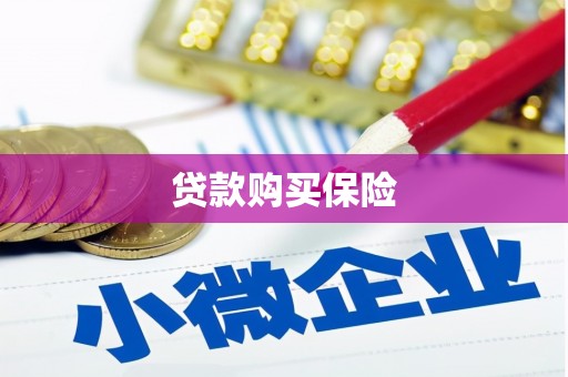阳东贷款购买保险