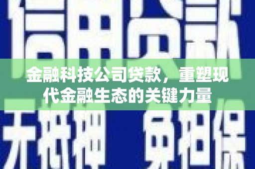 阳东金融科技公司贷款，重塑现代金融生态的关键力量