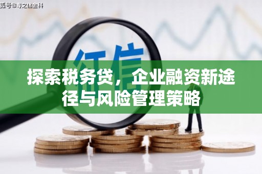 阳东探索税务贷，企业融资新途径与风险管理策略