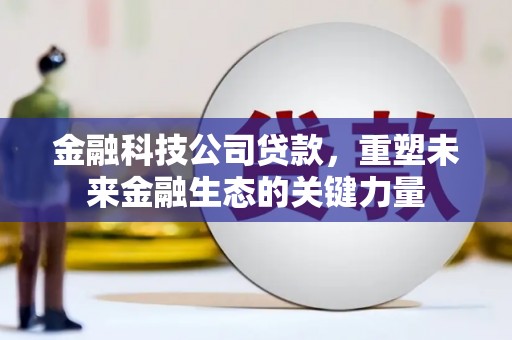 阳东金融科技公司贷款，重塑未来金融生态的关键力量