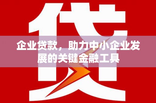 阳东企业贷款，助力中小企业发展的关键金融工具