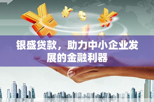 阳东银盛贷款，助力中小企业发展的金融利器