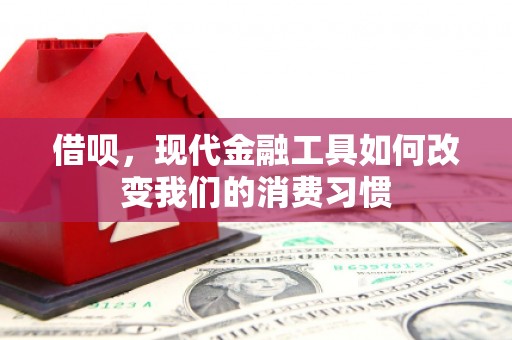 阳东借呗，现代金融工具如何改变我们的消费习惯