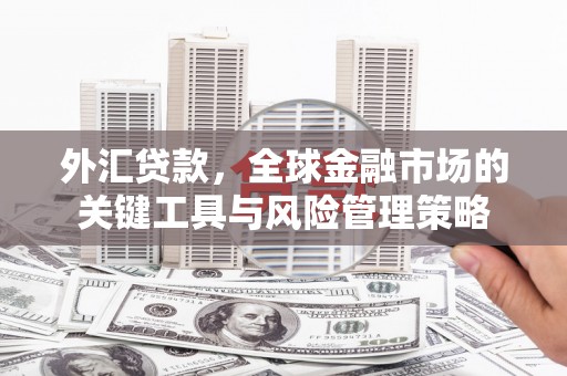 阳东外汇贷款，全球金融市场的关键工具与风险管理策略