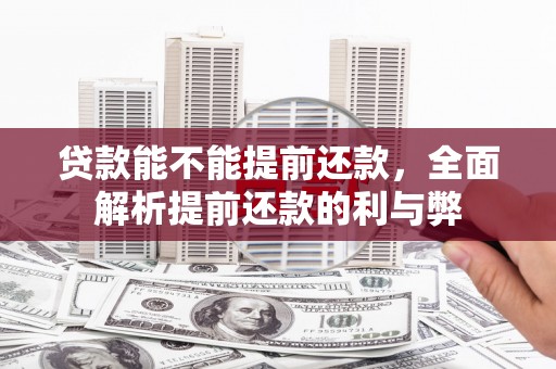 阳东贷款能不能提前还款，全面解析提前还款的利与弊