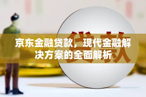 阳东京东金融贷款，现代金融解决方案的全面解析
