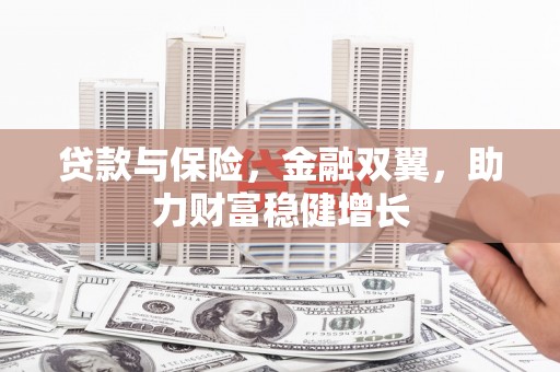 阳东贷款与保险，金融双翼，助力财富稳健增长